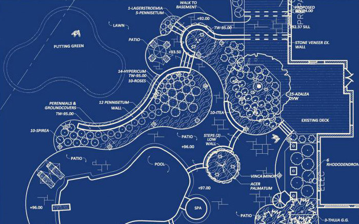 Blueprint for Landscaping Design